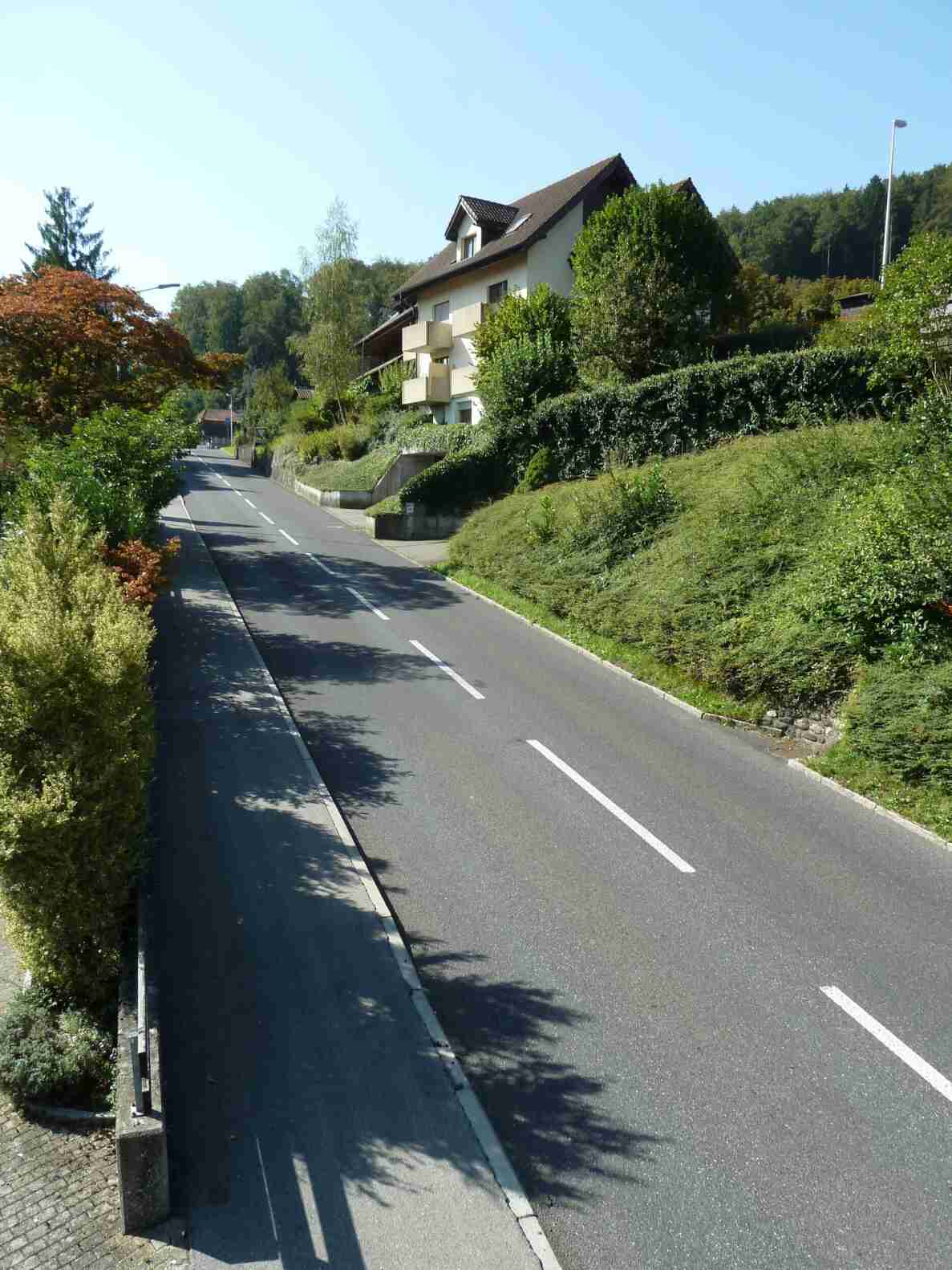 Blick auf die abschüssige Hohlestrasse mit rund 10% Gefälle, begleitet von einem separaten Gehweg links. Die zweispurige Strasse ist mit unterbrochener Mittellinie markiert, der Asphalt ist in gutem Zustand. Beidseitig säumen Hecken, Bäume und Sträucher die Strasse, im Hintergrund steht ein mehrstöckiges Wohnhaus. Keine Fahrzeuge oder Personen sind auf der Strasse sichtbar, eine Strassenlaterne steht am rechten Rand.