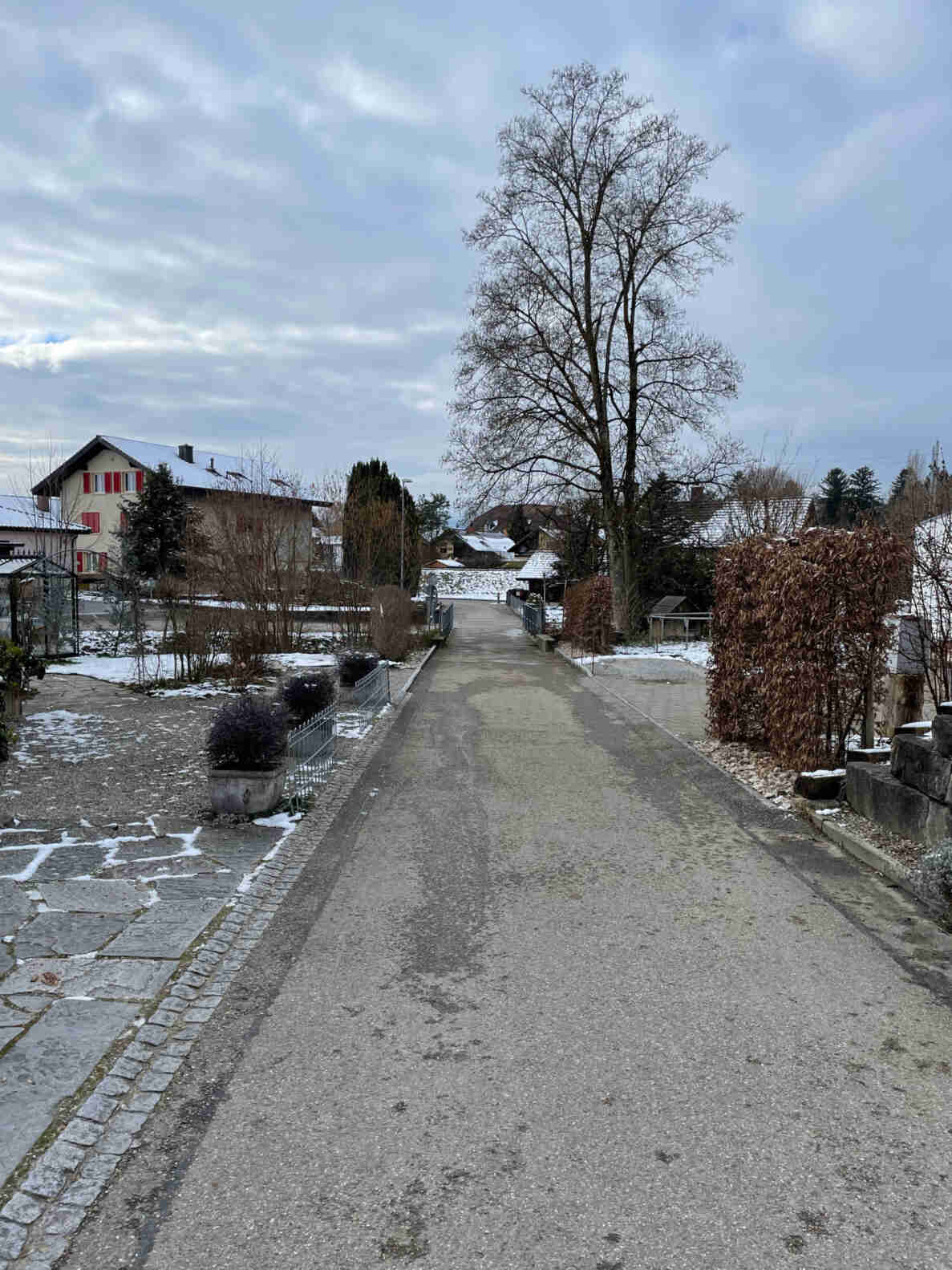 Schmaler, asphaltierter Fussweg zwischen Einfamilienhäusern, gesäumt von Metallzäunen, Pflanzkübeln und Sträuchern mit Restschnee am Wegrand. Ein grosser, kahler Laubbaum steht mittig am Wegende, im Hintergrund weitere Wohnhäuser mit teils schneebedeckten Dächern. Am linken Wegrand ist ein rundes Verkehrsschild sichtbar. Der Weg ist trocken und gut begehbar, keine Personen oder Fahrzeuge zu erkennen.