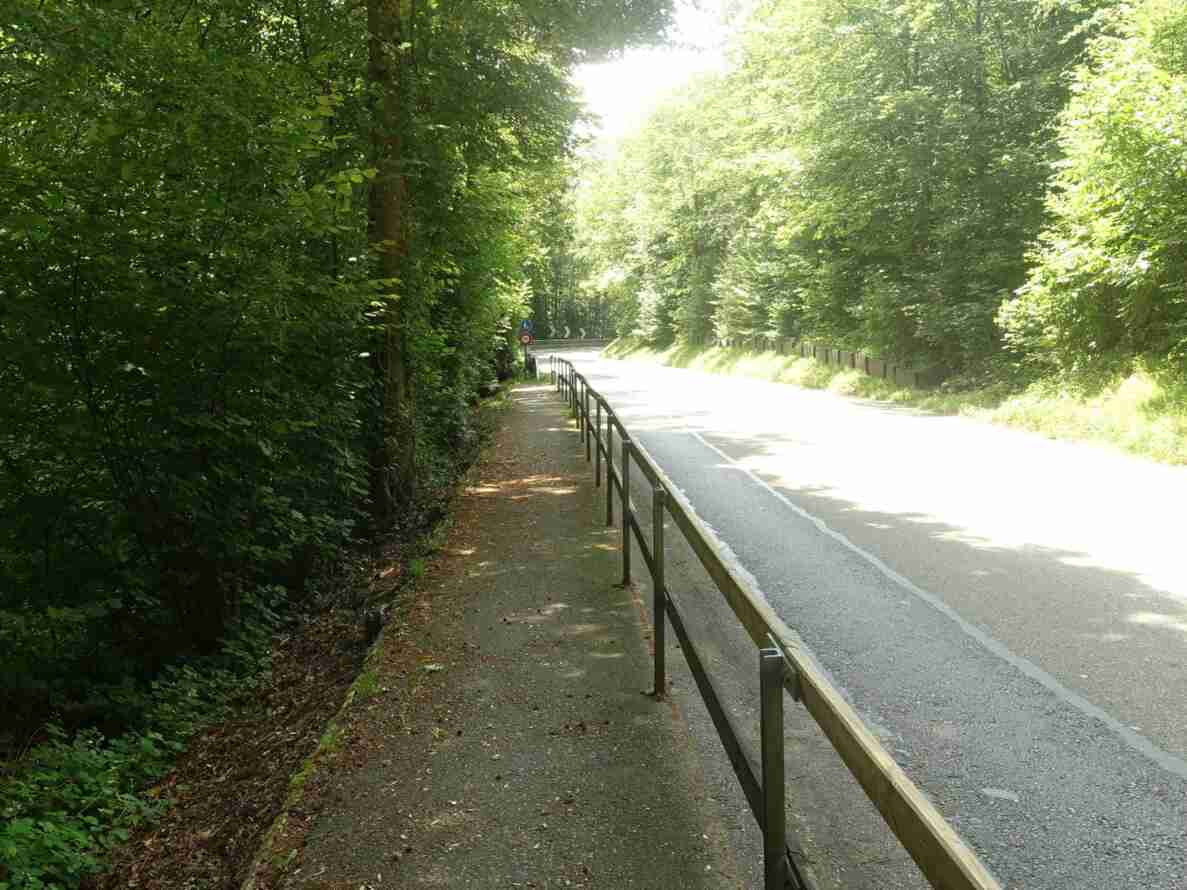 Asphaltierter Fussweg mit Geländer parallel zur Chrüzlenstrasse, die durch Wald führt. Am Strassenrand ein Kurvenhinweisschild sowie ein Hinweisschild für einen Fussweg mit Verbot für Motorfahrräder. Die Fahrbahn ist trocken und markiert, es sind keine Fahrzeuge oder Personen sichtbar.