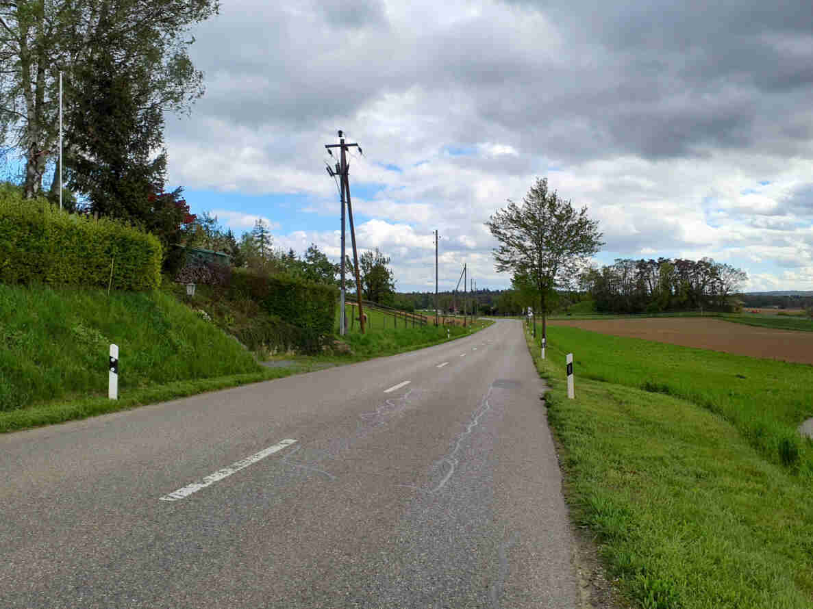 Andelfingerstrasse Blickrichtung Süden: leicht gekrümmte Überlandstrasse mit Mittellinie, gesäumt von Leitpfosten, Bäumen und Stromleitungsmasten. Rechts Wiesen und ein Ackerfeld, links ein Hang mit Hecke und Bäumen. Der Asphalt weist Fahrbahnmarkierungen und Ausbesserungsspuren auf. Keine Fahrzeuge oder Personen sichtbar, keine Verkehrssignale oder Messgeräte erkennbar.