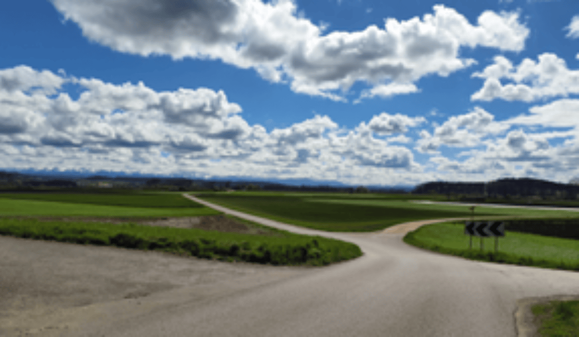Kreuzung der Siselenstrasse am Waldrand bei Walperswil, Blickrichtung Süd. Zwei geteerte Landstrassen treffen sich in einer weiten Kurve inmitten von Feldern, begleitet von schmalen Bankettstreifen ohne Trottoir. Rechts stehen mehrere Wegweiser mit Richtungspfeilen. Die Strasse ist frei von Fahrzeugen und Personen, die Fahrbahnmarkierungen sind gut sichtbar.