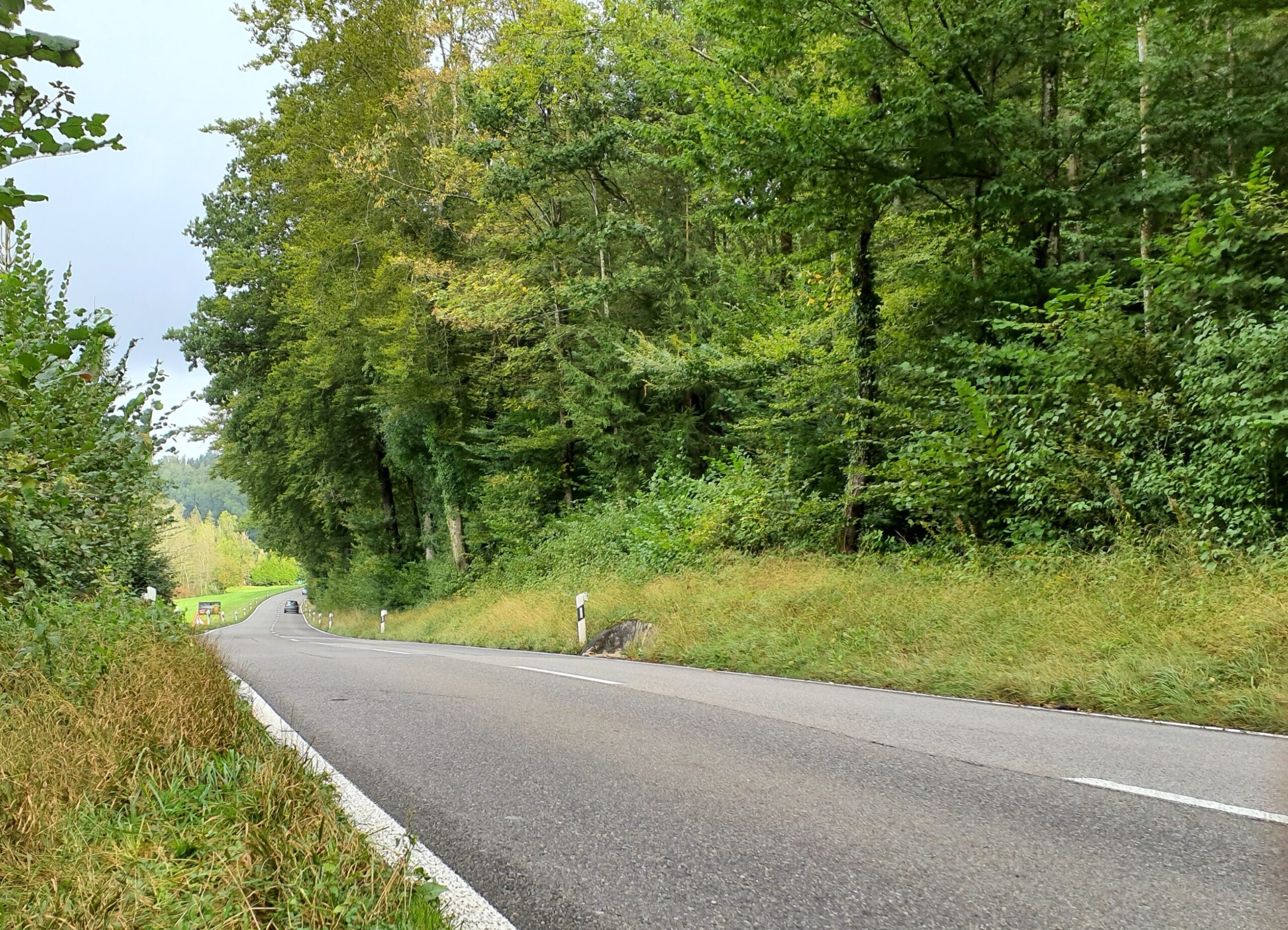 Gretzenbach, Köllikerstrasse, Blickrichtung Norden