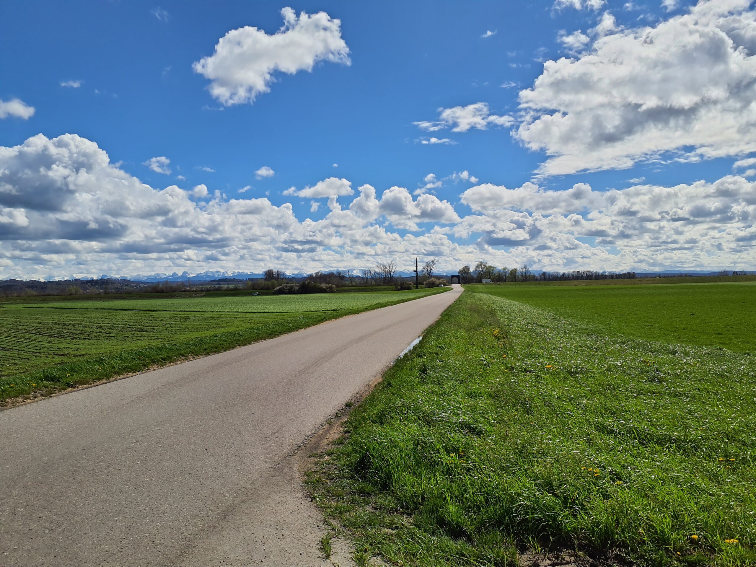 Siselenstrasse, Walperswil